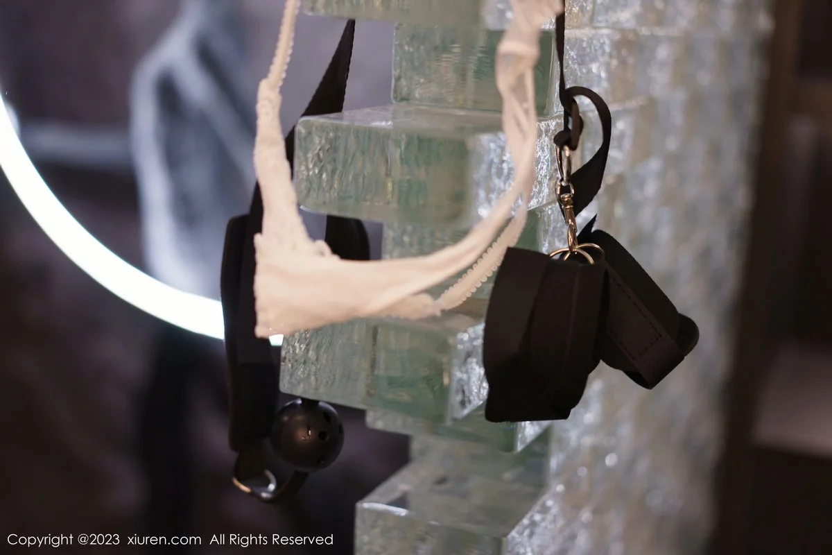 Xrmnw.Vip_icy猪_合集 Xrmnw.Vip_icy猪_写真